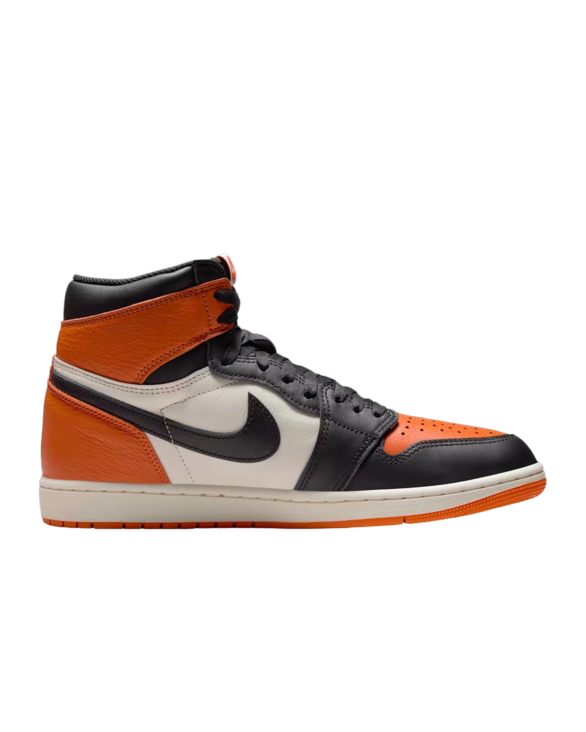 Authentic Jordan 1 Retro OG DZ5485-008